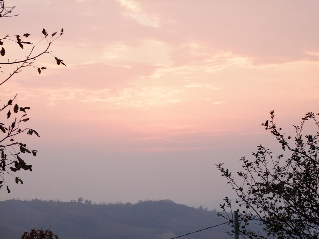 Casa Branzele Bed & Breakfast Trezzo Tinella Exterior foto