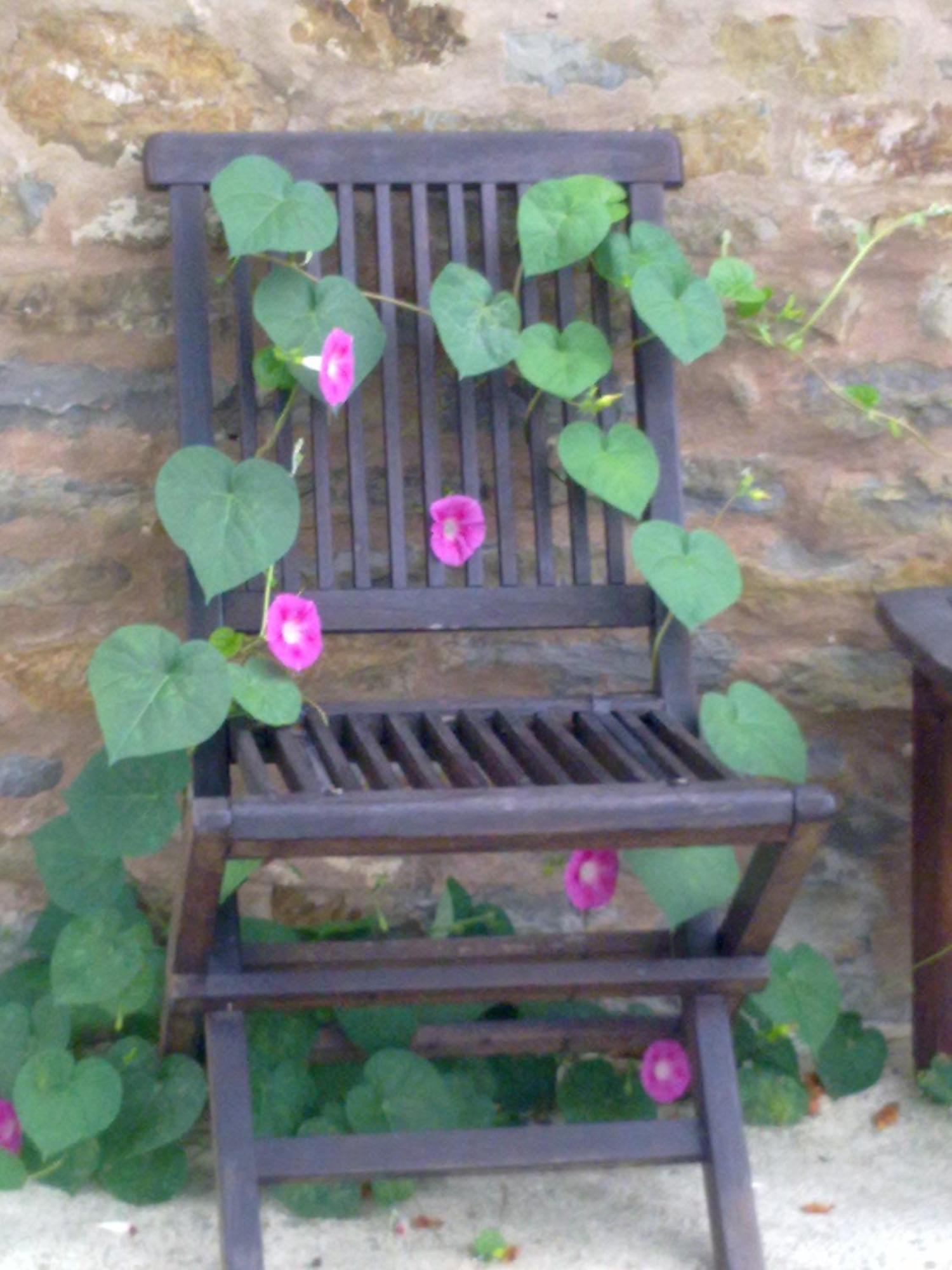 Casa Branzele Bed & Breakfast Trezzo Tinella Exterior foto