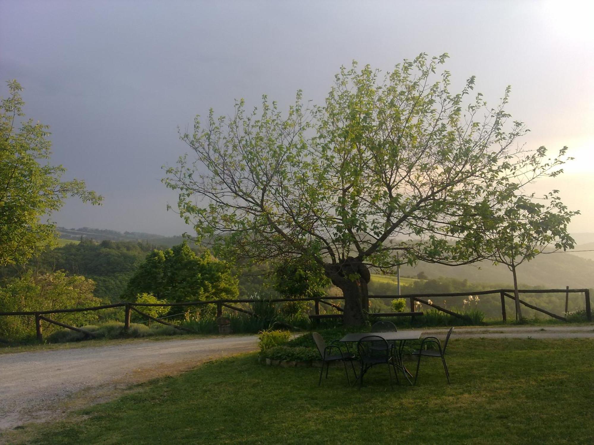 Casa Branzele Bed & Breakfast Trezzo Tinella Exterior foto