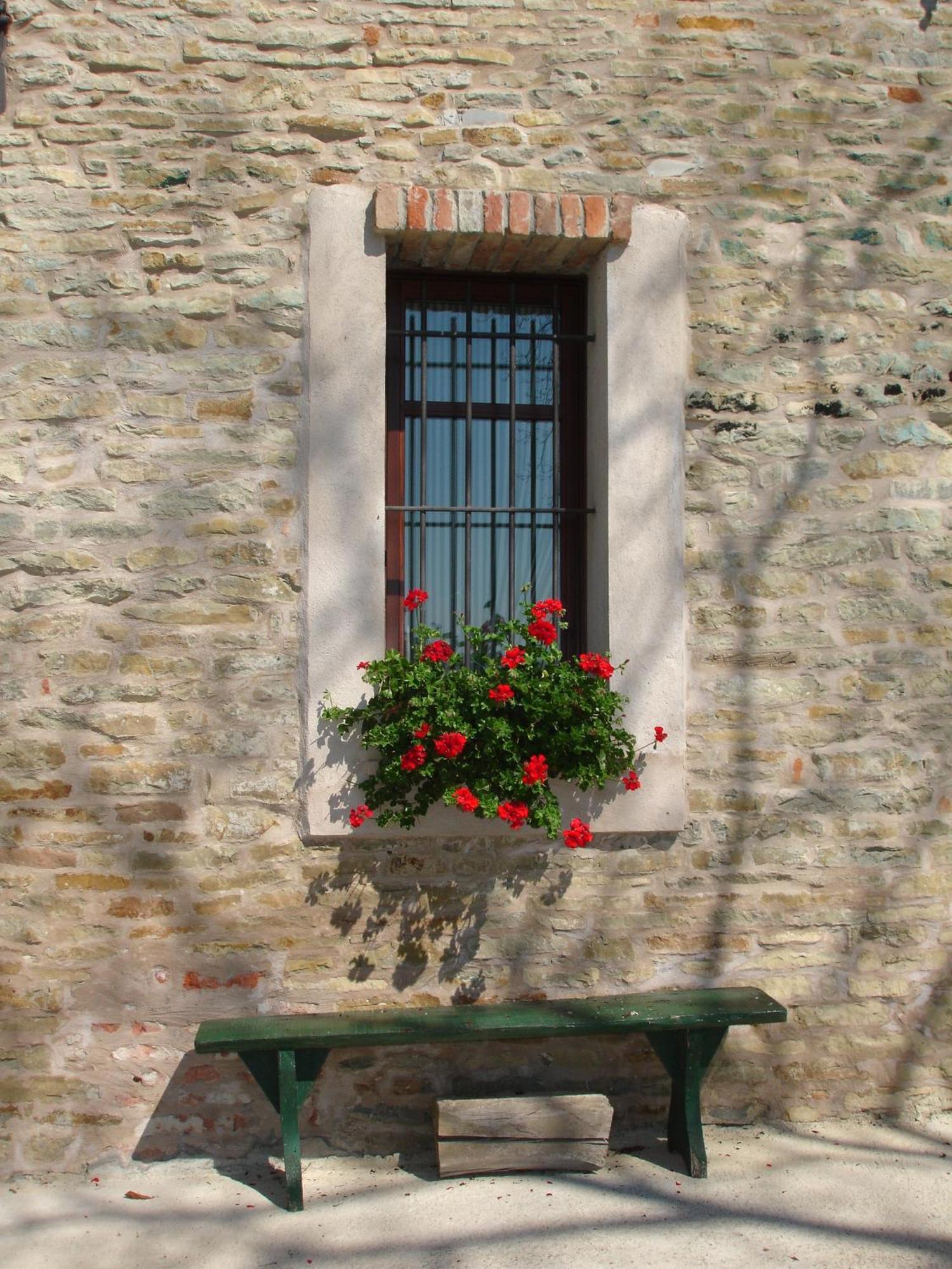 Casa Branzele Bed & Breakfast Trezzo Tinella Exterior foto