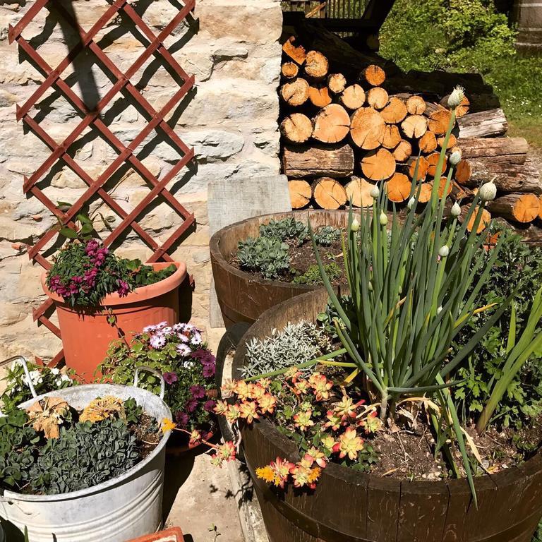 Casa Branzele Bed & Breakfast Trezzo Tinella Exterior foto