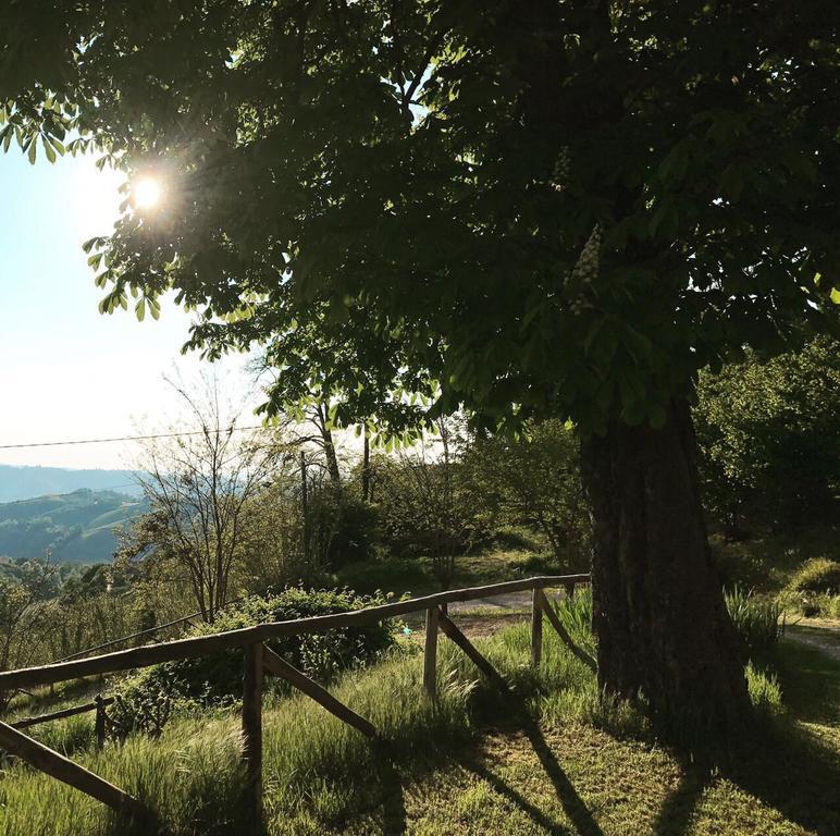 Casa Branzele Bed & Breakfast Trezzo Tinella Exterior foto
